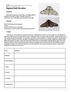 peppered moth game|eChalk: Peppered moth natural selection simulation.